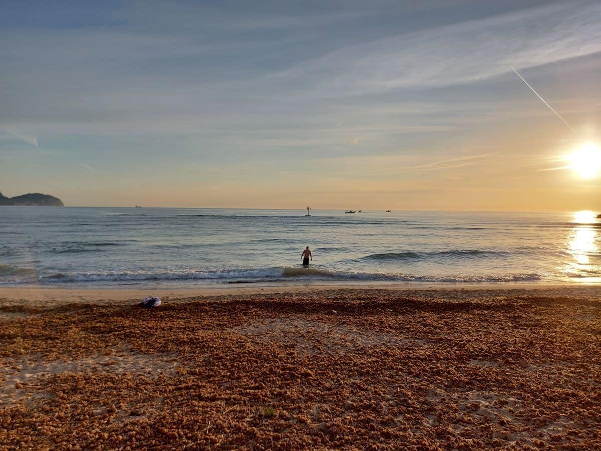 A tranquil sunset at Port d'Alcudia beach with golden hues reflecting on the water. Linda stands near the gentle waves, and boats are visible in the distance, creating a serene end-of-day scene. The perfect end for a day full of Alcudia activities!