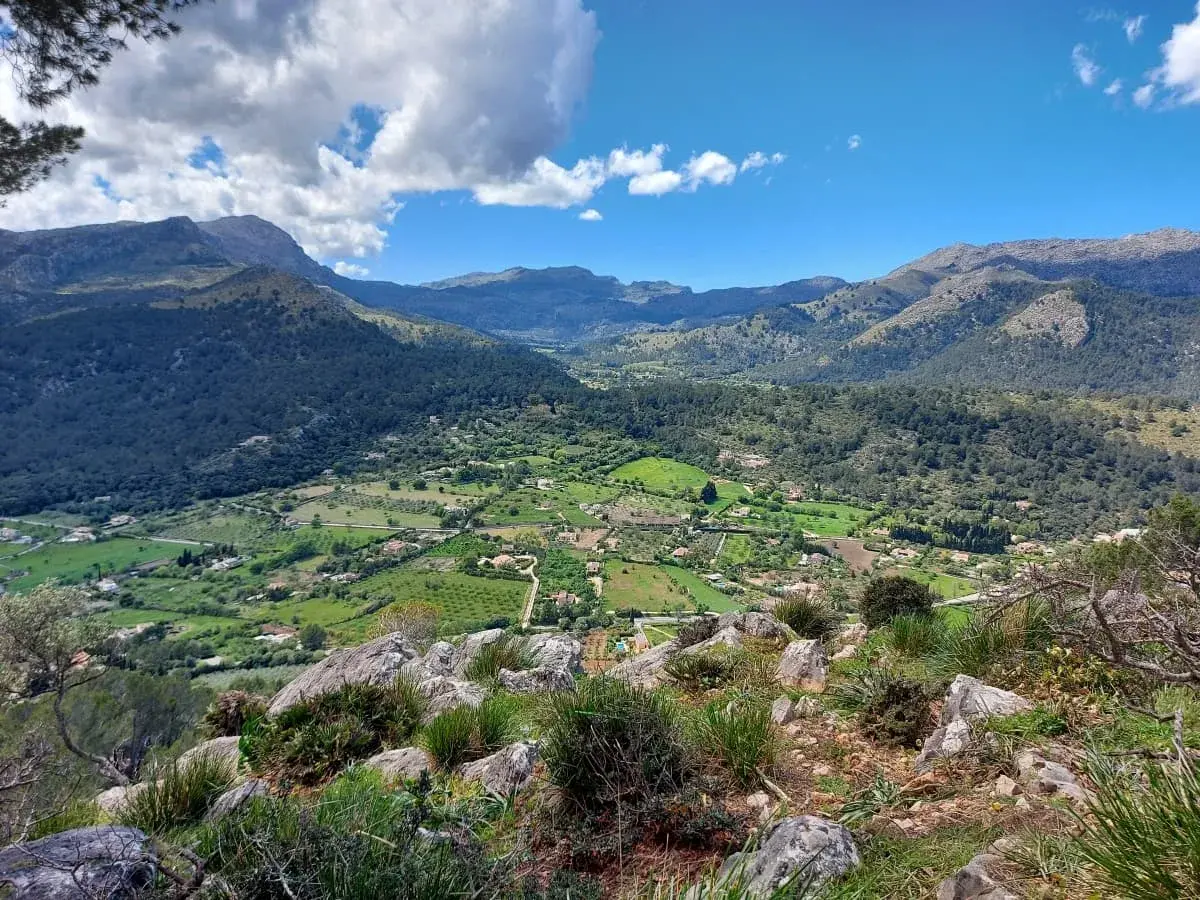 A stunning perspective from Puig de Maria, capturing the lush green valley dotted with fields and houses, framed by the rugged peaks of the Serra de Tramuntana, all under a dramatic sky with dynamic cloud formations.
