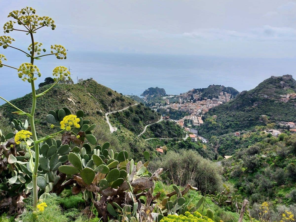Lush greenery framing a winding road to Taormina with the Ionian Sea in the distance, showcasing the picturesque drives along Sicily's coast.