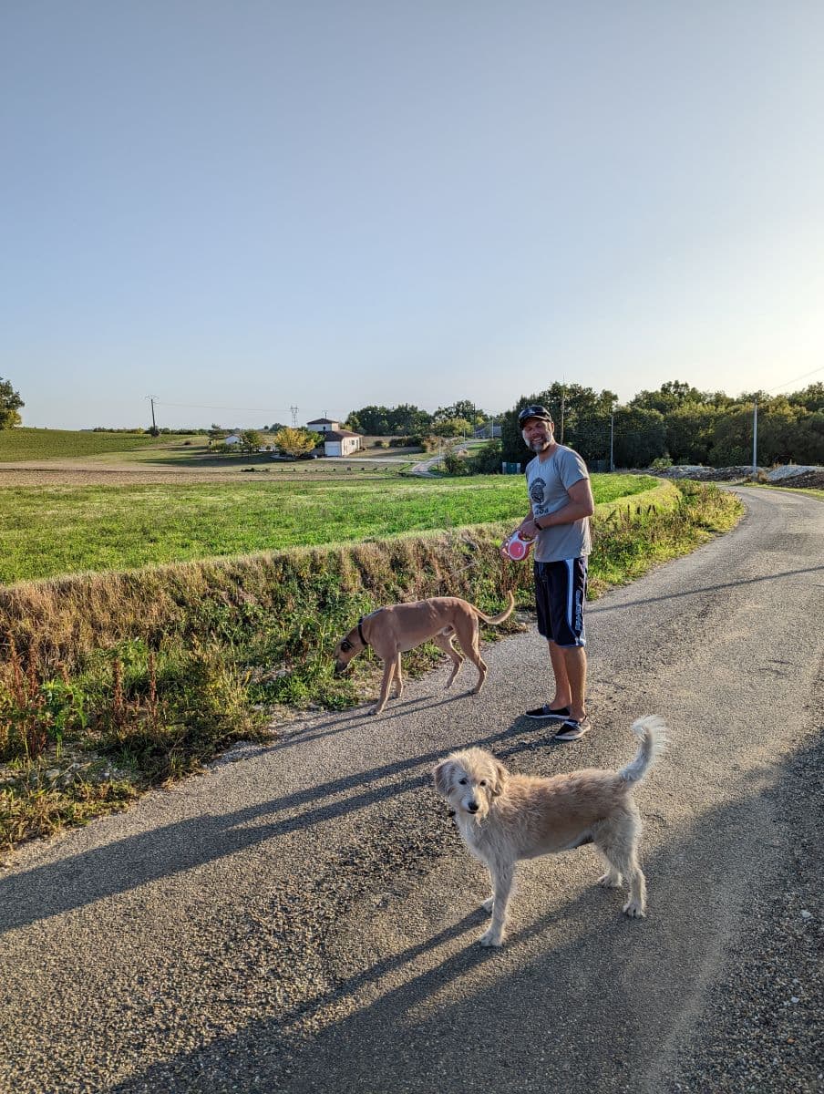 Ein Mann spaziert mit zwei Hunden auf einer ländlichen Straße durch die Felder. Wer Haussitter werden möchte, erlebt genau solche Momente der Ruhe und Verantwortung für die Tiere.