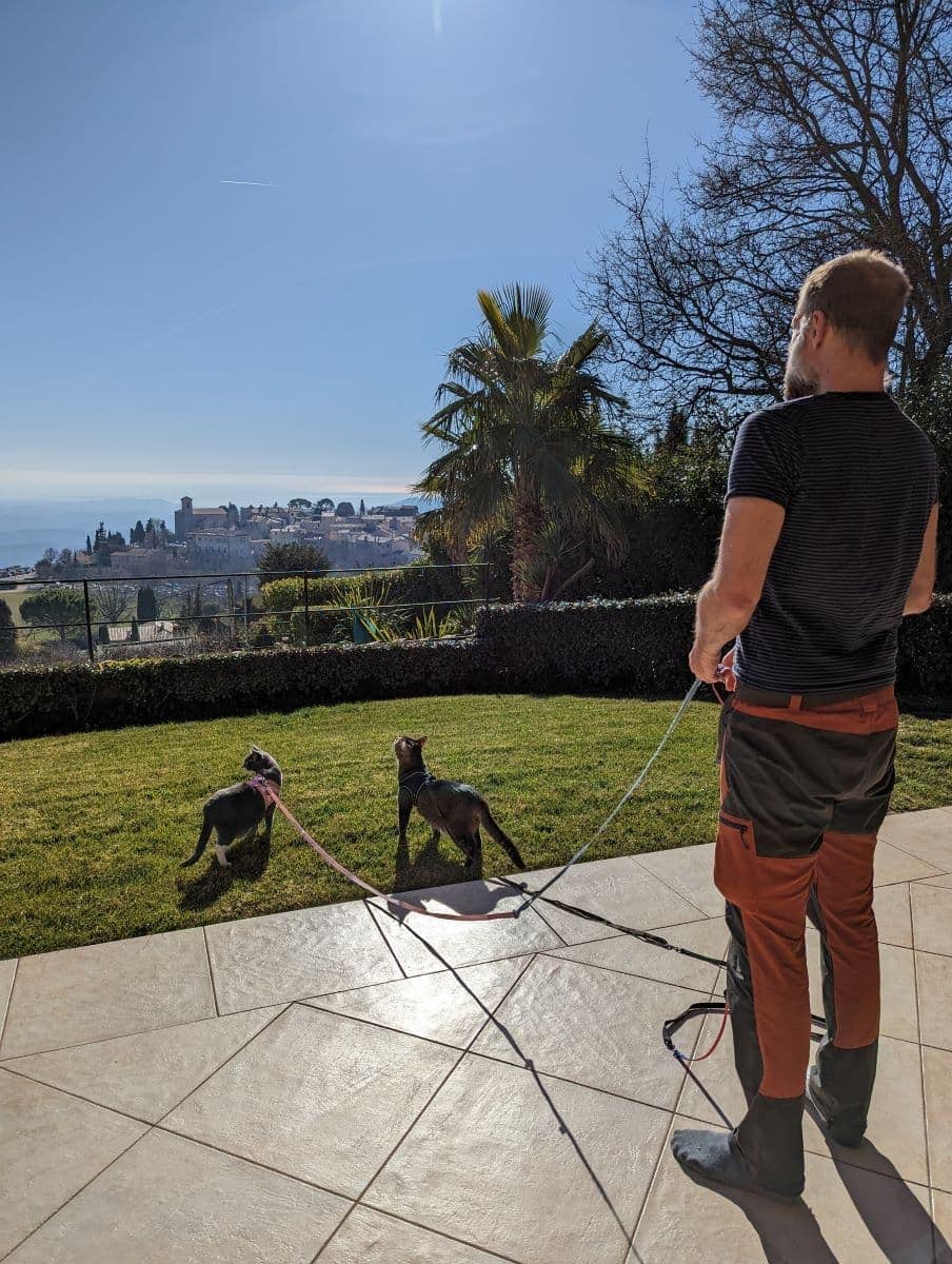 Ein Mann steht im Garten und hält zwei angeleinte Katzen, die neugierig in die Ferne schauen. Dieses Bild veranschaulicht, dass Haussitter werden auch Verantwortung für Katzen in ungewohnter Umgebung bedeutet.