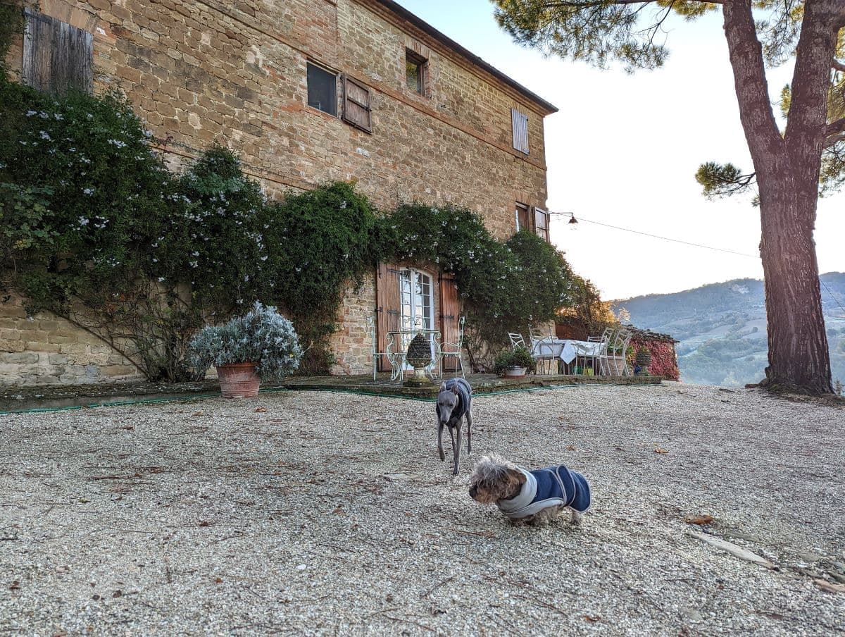 2 Dogs in front of a mansion in Italy we did house sitting at. In the back ground some mountain tops and a blue sky.