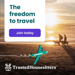 Banner from Trusted Husesitters showcasing two people with dogs walking along the beach at sunset.
