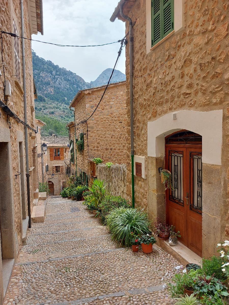 Eine enge, steinerne, malerische Gasse in Fornalutx, gesäumt von traditionellen Steinhäusern mit grünen Fensterläden. Die Gasse ist mit üppigen grünen Pflanzen in Töpfen dekoriert, die auf den Stufen und entlang der Hauswände angeordnet sind. Der Himmel ist klar, und die warmen Steintöne der Gebäude verleihen der Szenerie einen mediterranen Charme.