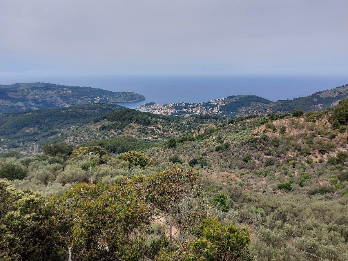 Ein atemberaubender Blick vom Mirador de ses Barques auf die hügelige Landschaft von Mallorca, die mit dichten Wäldern und Olivenhainen bedeckt ist. In der Ferne ist die Küste mit dem tiefblauen Meer und einer kleinen, malerischen Bucht zu sehen, in der sich ein Küstendorf befindet. Die Szene vermittelt eine ruhige, weite Aussicht auf das grüne Tal und das Mittelmeer.