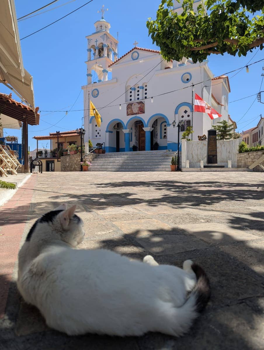 Eine weiße Katze liegt entspannt im Schatten auf dem gepflasterten Dorfplatz vor einer orthodoxen Kirche mit blau-weißer Fassade und Glockenturm. Die Kirche im Bergdorf Ambelos ist eine ruhige, charmante Sehenswürdigkeit auf Samos und spiegelt das authentische Inselleben wider.
