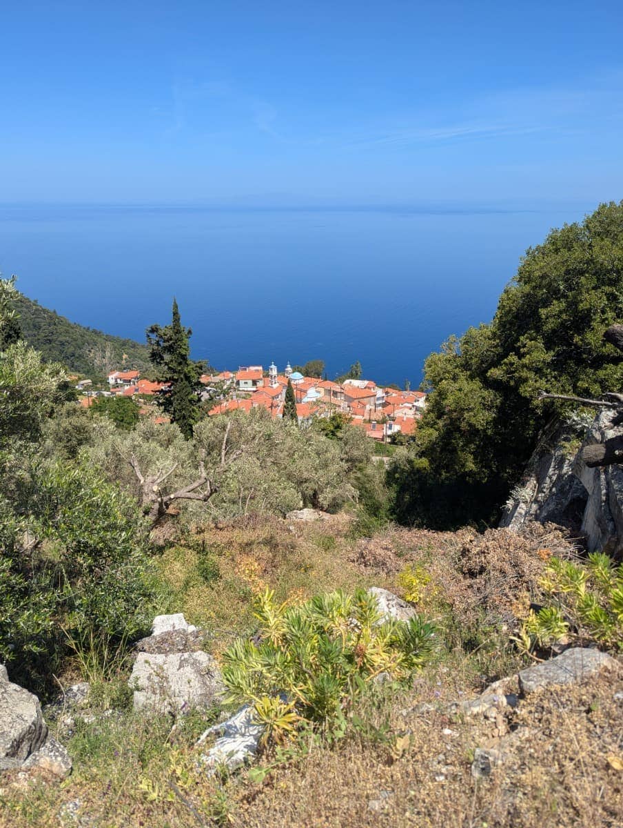 Zwischen Olivenbäumen öffnet sich der Blick auf das rotgedeckte Dorf Ambelos, das hoch über dem blauen Meer am Berghang liegt. Dieses Panoramamotiv macht Ambelos zu einer besonders malerischen Sehenswürdigkeit auf Samos und zu einem beliebten Ziel für Wanderer.