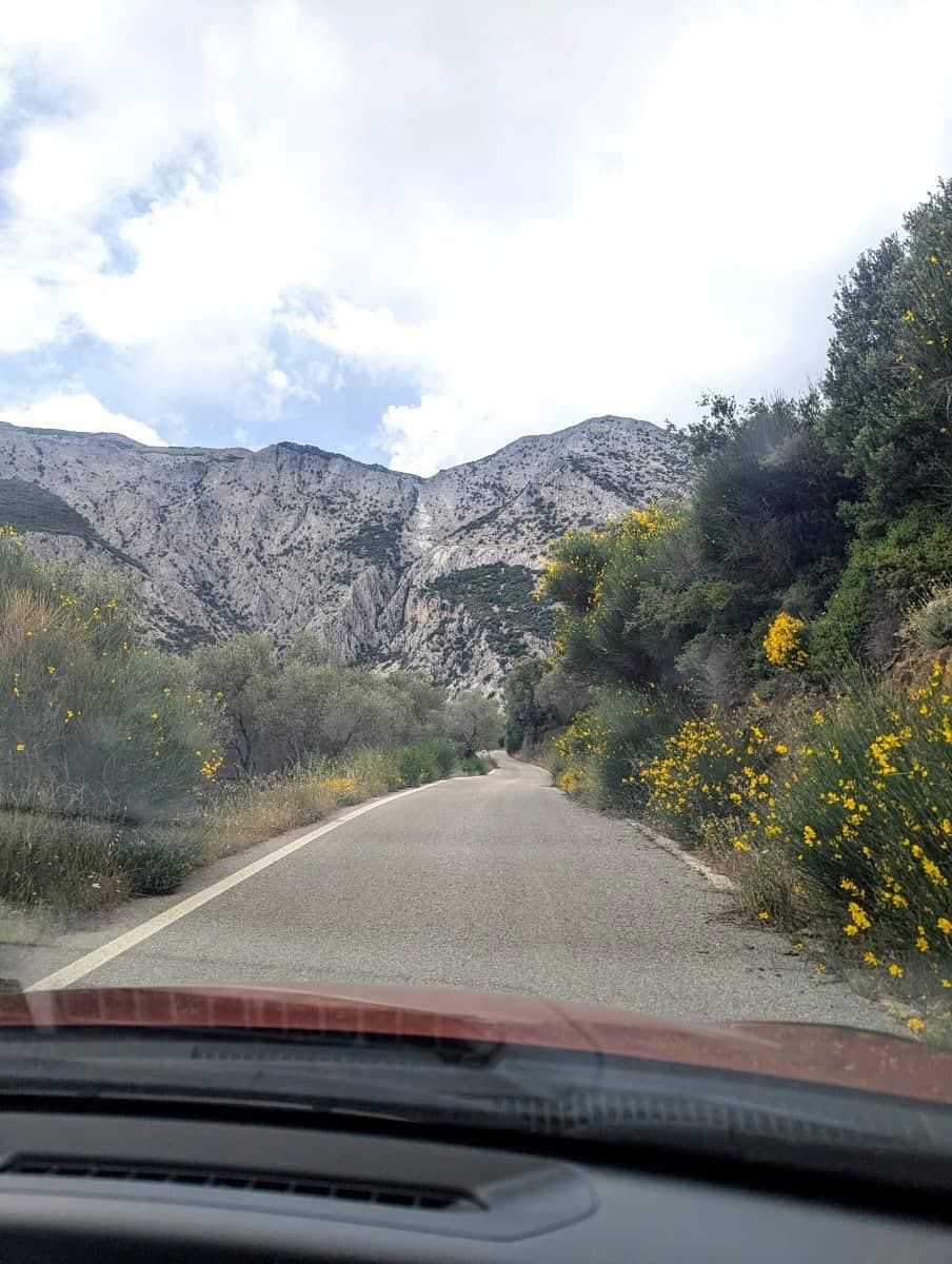 Blick durch die Windschutzscheibe auf eine asphaltierte Landstraße, die sich durch grüne Hügel in Richtung Berge schlängelt. Diese Straße führt von Marathokambos zur Zufahrt zum Wanderweg zur Höhle des Pythagoras.