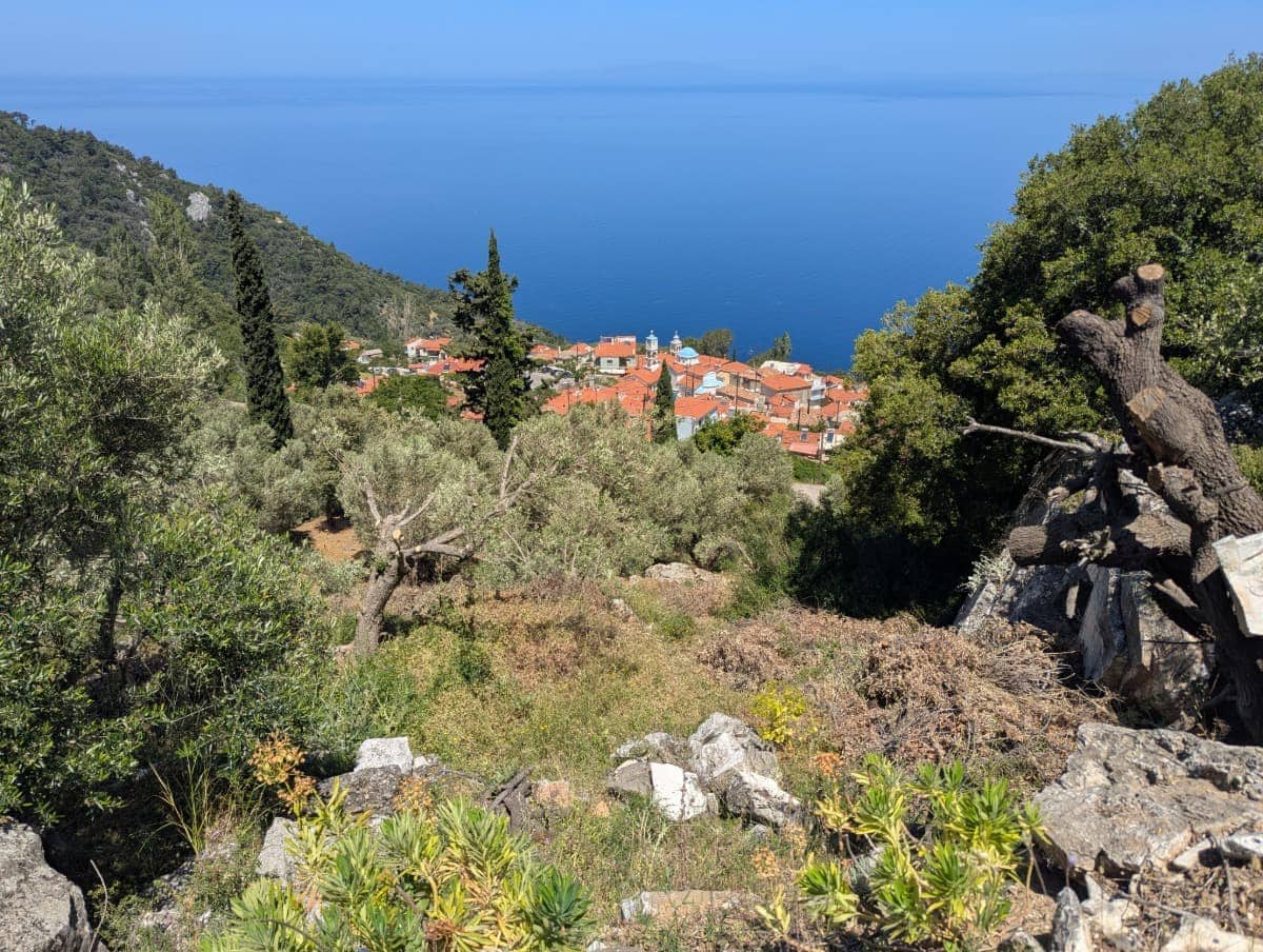 Zwischen Olivenbäumen und Felsen öffnet sich der Blick auf das Bergdorf Ambelos mit seinen roten Dächern und dem Meer im Hintergrund. Ambelos liegt an einem beliebten Wanderweg und ist ein malerischer Zwischenstopp beim Wandern auf Samos.