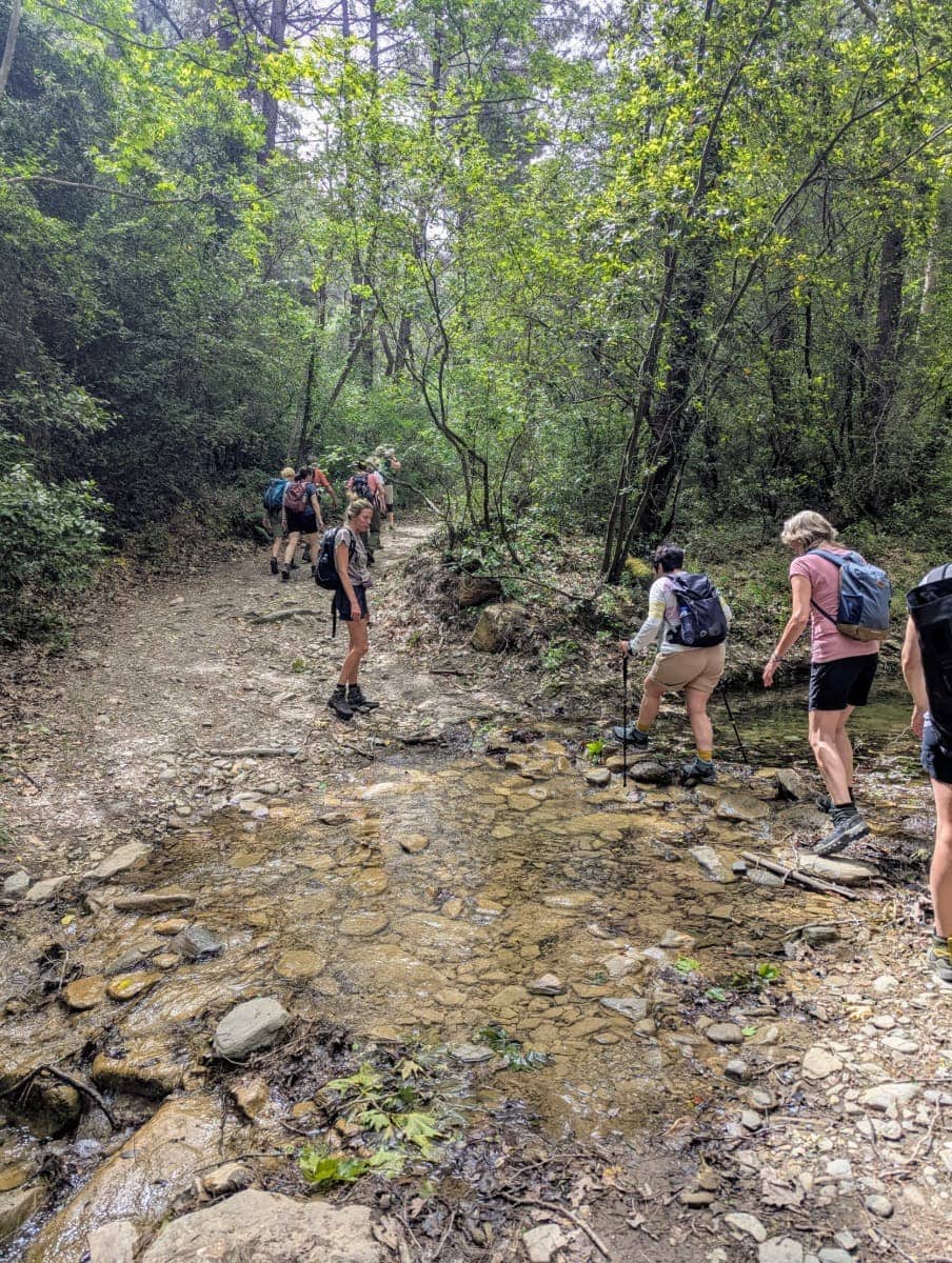 Eine Wandergruppe durchquert ein schattiges, grünes Waldstück mit einem kleinen Bachlauf. Diese Passage gehört zum bekannten Nachtigallental, einem Highlight beim Wandern auf Samos.
