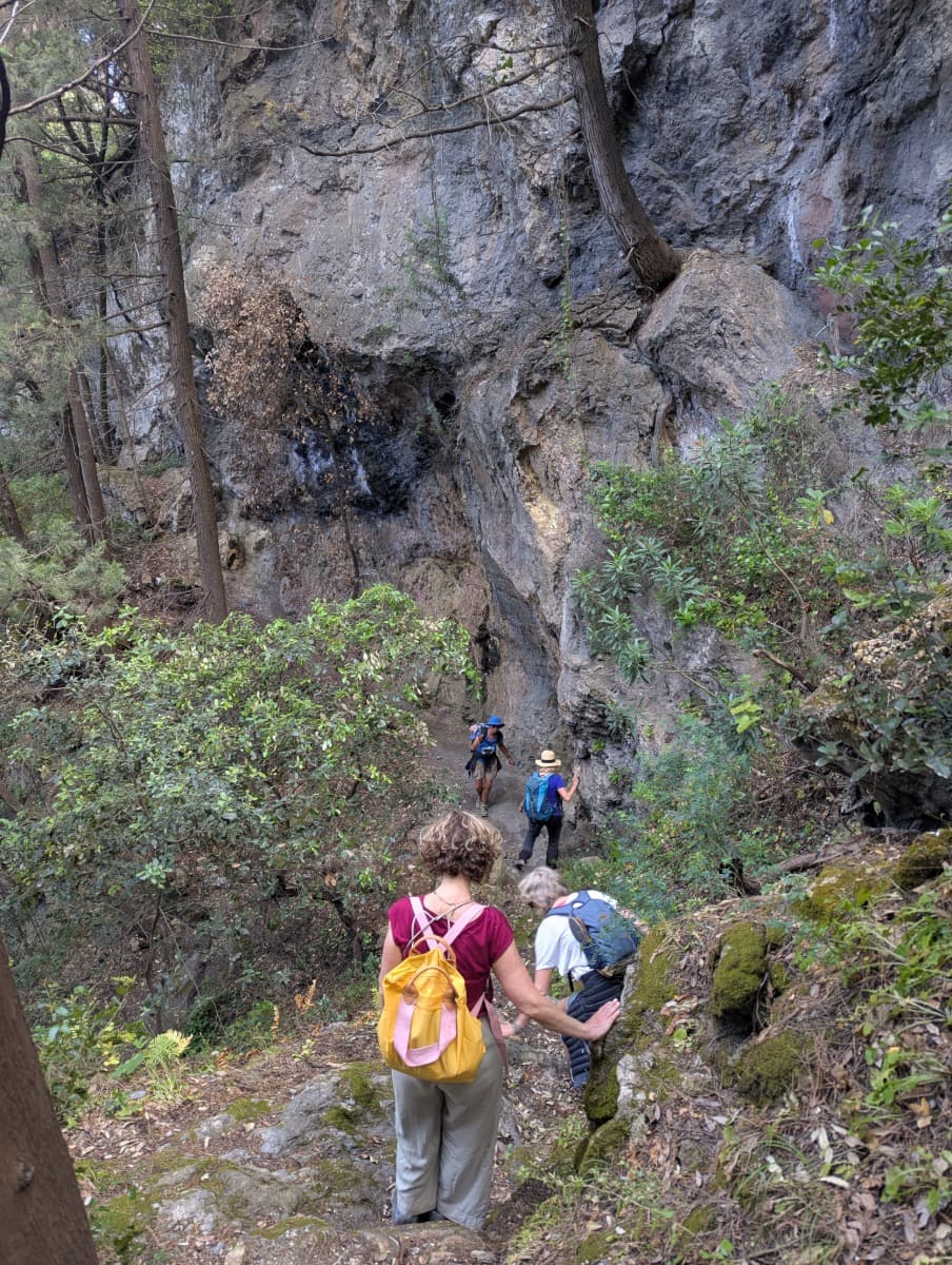 Mehrere Wanderer steigen einen felsigen Pfad in die schattige Potami-Schlucht auf Samos hinab. Dichte Vegetation und steile Wände umrahmen die Szenerie – ein authentischer Einblick in die wilde Natur des Inselinneren.