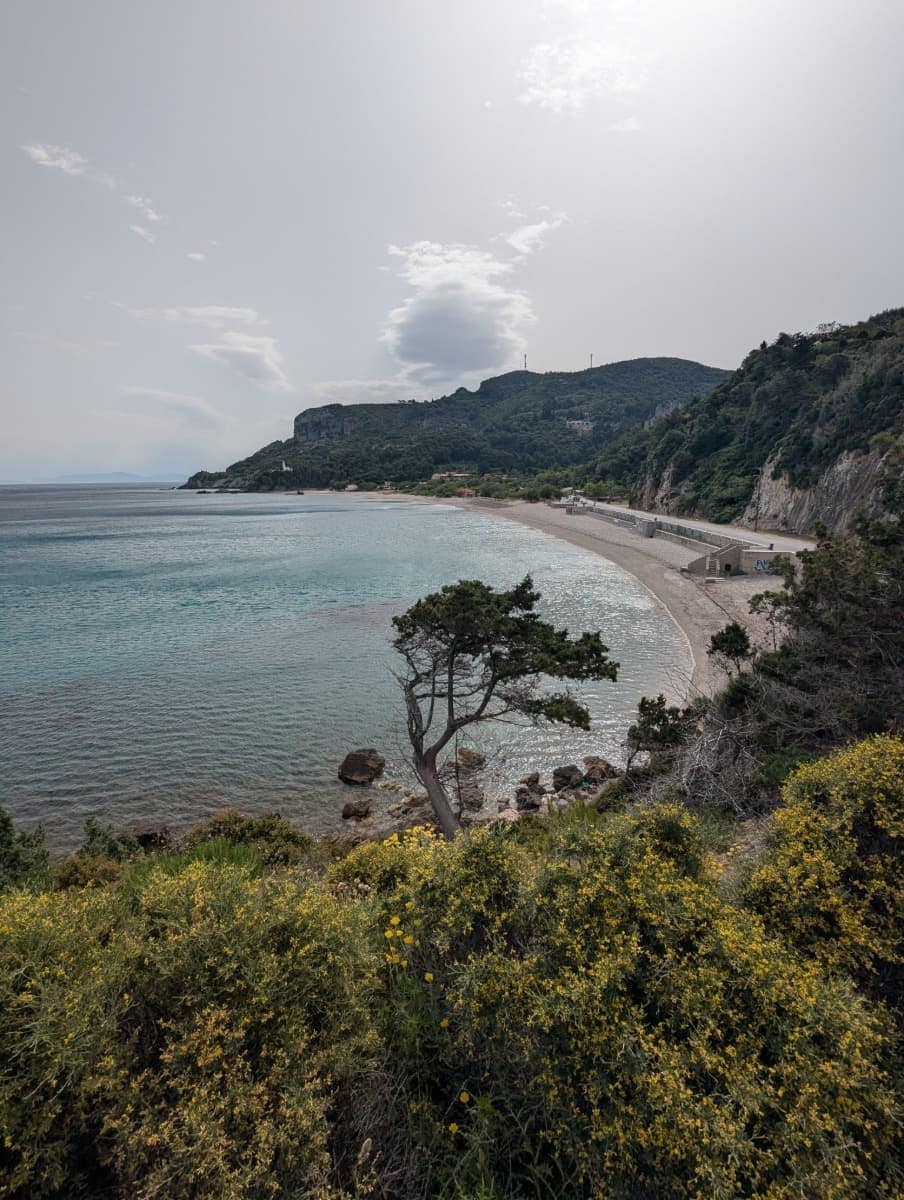 Der Potami Strand auf Samos zieht sich unterhalb eines bewachsenen Hangs entlang der Küste, im Vordergrund steht ein einzelner schiefer Baum. Die Perspektive bietet einen weiten Blick über das Wasser und die umgebende Landschaft.