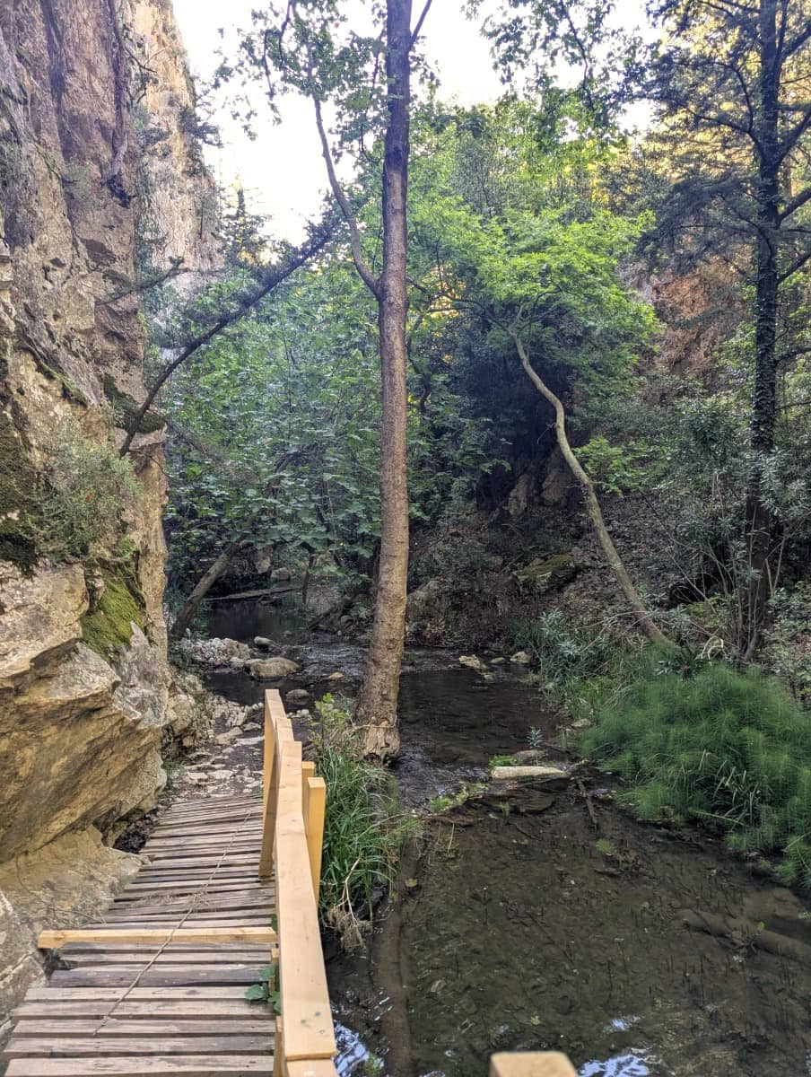 Ein schmaler Holzsteg verläuft entlang einer Felswand und führt über einen klaren Bachlauf durch die bewaldete Potami Schlucht auf Samos. Die dichte Vegetation und das sanfte Licht vermitteln die ruhige, verwunschene Stimmung dieses naturbelassenen Ortes.